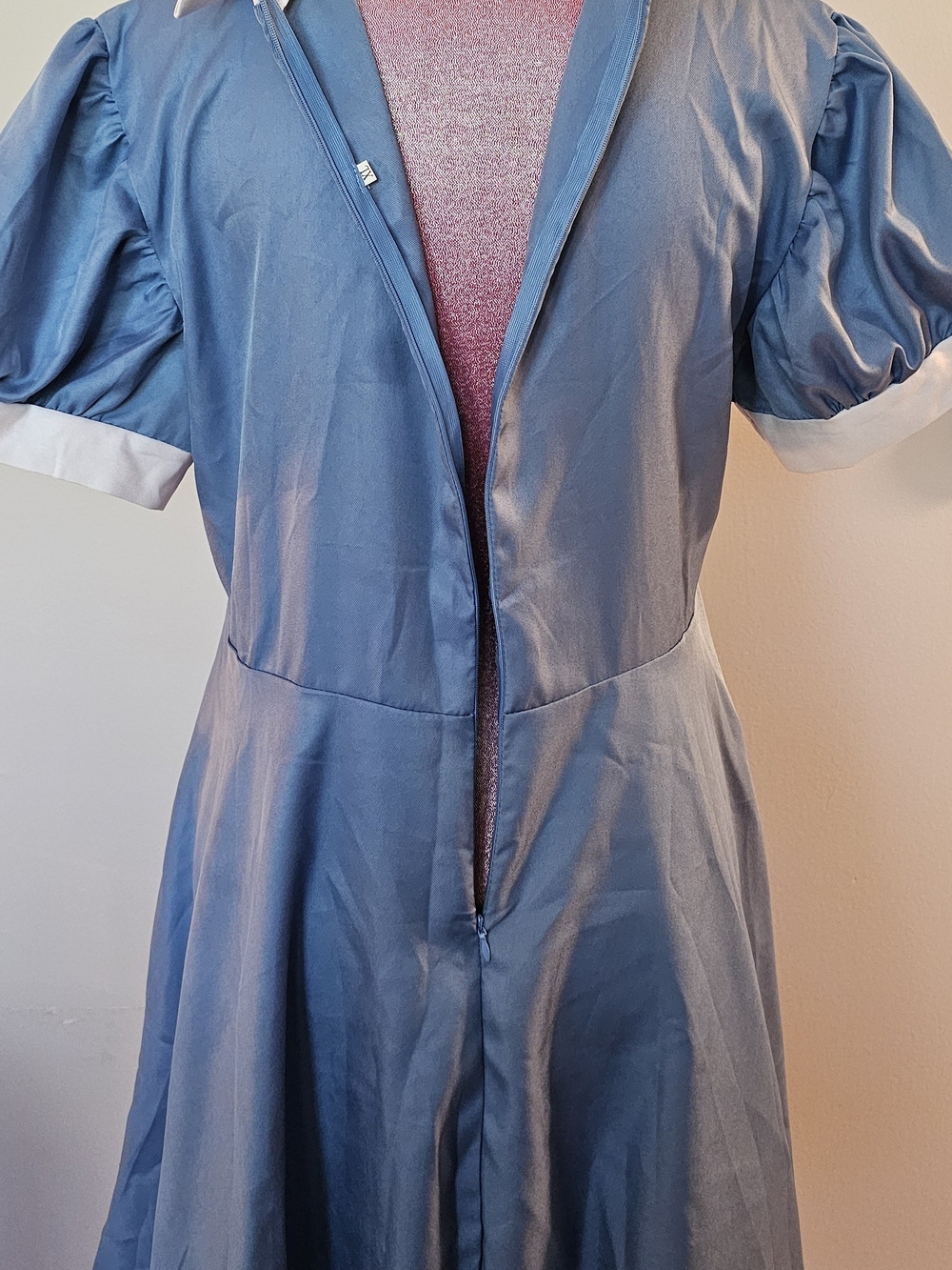 Alice In Wonderland Costume - Picture 8 of 12